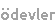 ödevler